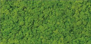 Декор Moss Glass RECT 300x600 Ceramika Color