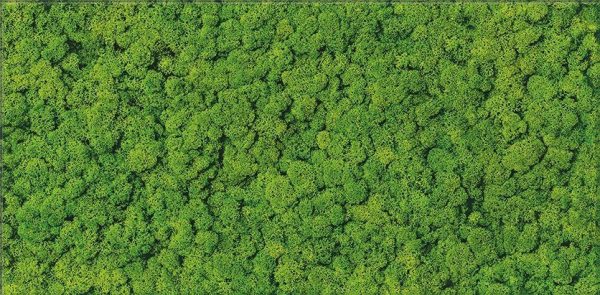 Декор Moss Glass RECT 300x600 Ceramika Color