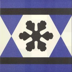 Плитка керамогранітна Victorian Cenefa Geo 200x200x9 Mainzu