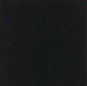Плитка керамогранітна Monocolor Negro 200x200x10 Vives