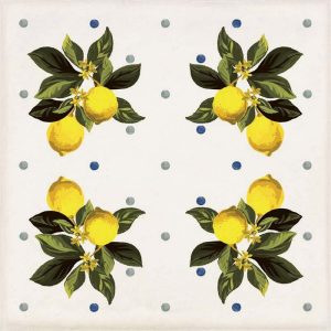 Декор CSAGIMXL20 Vita Giardino Bianco Mix Luc 200x200x10 Sant'agostino