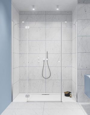 Душові двері Torrenta DWJS G 812 L RADAWAY