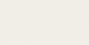 Плитка стінова Calm Silver RECT Dekor 298x598x9 Paradyz