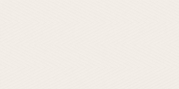 Плитка стінова Feelings Bianco Dekor RECT 298x598x9 Paradyz