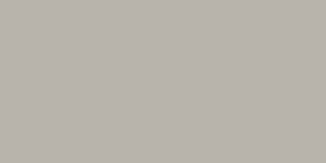 Плитка стінова Neve Grys RECT MAT 29,8x59,8 код 7501 Ceramika Paradyz