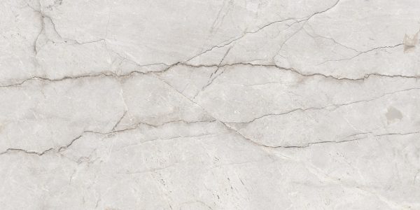 Плитка керамогранітна Monalisa Grey POL 600x1200 Raviraj