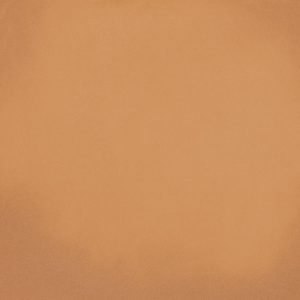 Плитка керамогранітна World Parks Barnet Natural 316x316x9 Vives