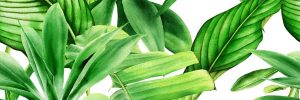 Декор Garden Tropic A 250x750x9 Ceramika Color