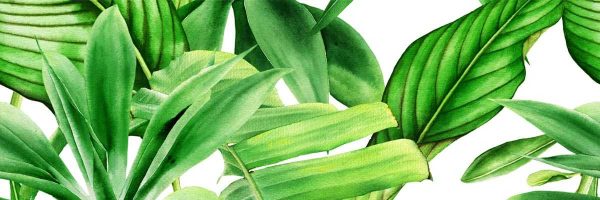 Декор Garden Tropic A 250x750x9 Ceramika Color