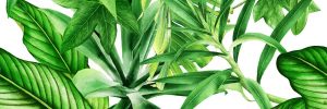 Декор Garden Tropic C 250x750x9 Ceramika Color