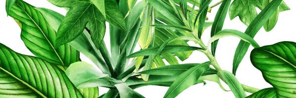 Декор Garden Tropic C 250x750x9 Ceramika Color