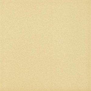 Плитка підлогова Gammo Бежевий SZKL MAT 19,8x19,8 код 4667 Ceramika Paradyz