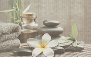 Декор Olivia Grey Spa1 25x40 код 9250 Церсаніт