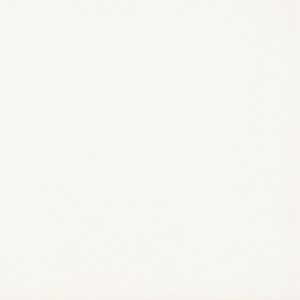 Плитка підлогова Gammo Білий SZKL MAT 19,8x19,8 код 2533 Ceramika Paradyz