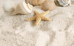 Декор В41321 Summer Stone Бежевий 25x40 код 9907 Голден Тайл