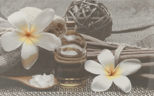 Декор Olivia Grey Spa2 25x40 код 9243 Церсаніт