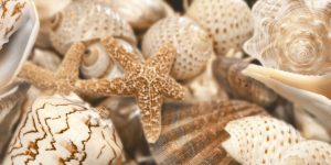 Декор Е11411 Sea Breeze Бежевий 30x60 код 9761 Голден Тайл