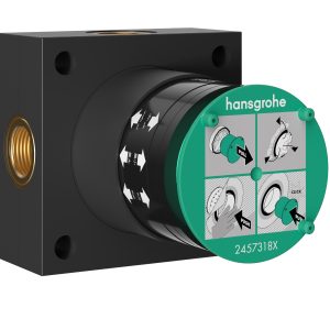 24573180 HG Внутрішня частина верхнього душа на 2jet (1 сорт)