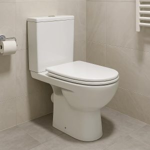 2397250UA STATUS Унітаз-компакт підлоговий, горизонтальний випуск, змивний бачок 3/6 л, нижній підвід, сидіння з кришкою поліпропілен (1 сорт)