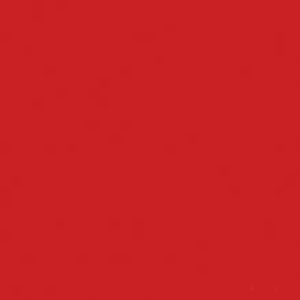 COLOR TWO GAA1K459 red matt (1 сорт)