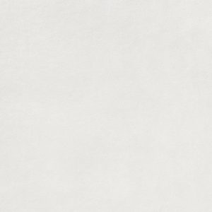 EXTRA DAR62722 white (1 сорт)